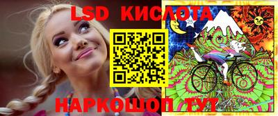 индика Моздок