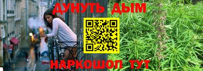 индика Моздок
