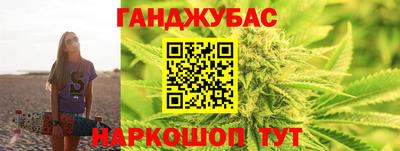 индика Моздок