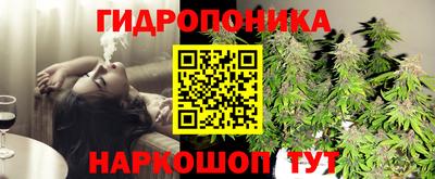 индика Моздок